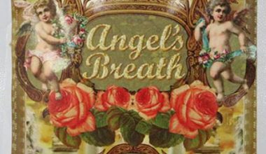 Buy Angels Breath Herbal Incense Online