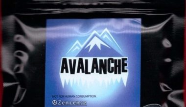Buy Avalanche Herbal Incense