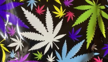 Buy Bay Leaf Herbal Incense