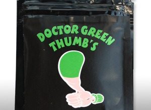 Buy Doctor Green Thumbs Herbal Incense