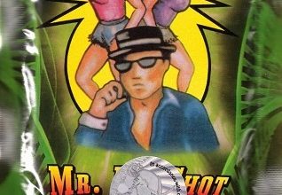 Buy Mr. Big Shot Herbal Incense Online