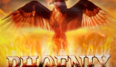 Buy Phoenix Herbal Incense For Sale Online